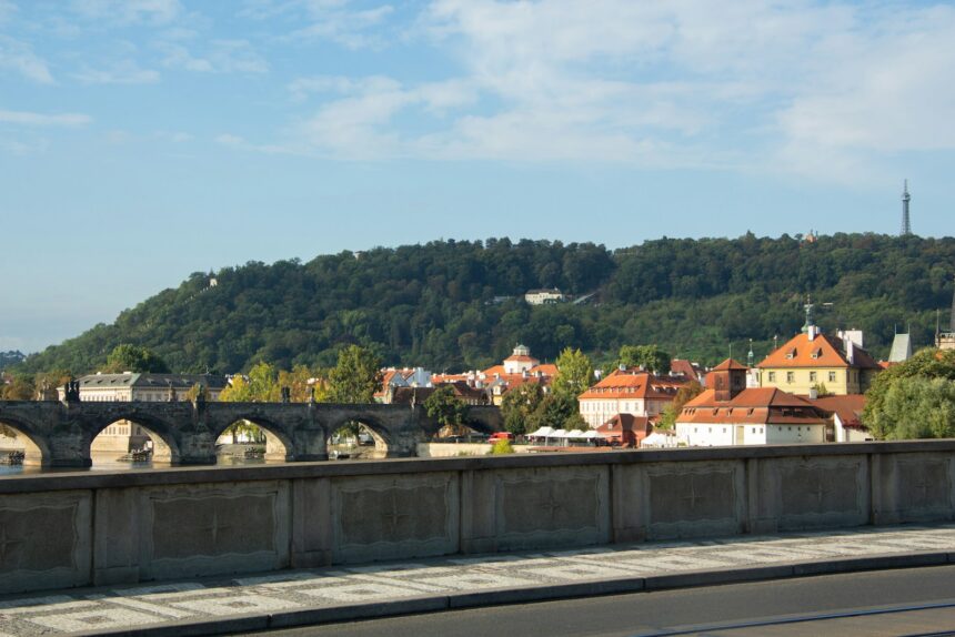 Stone bridge over river with buildings and forested hill.