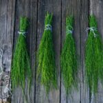 green and blue rope on brown wooden fence
