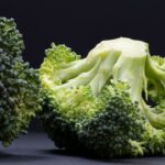 green plant on black textile