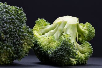 green plant on black textile