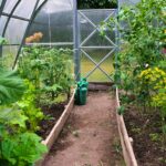 a garden with a lot of plants growing inside of it