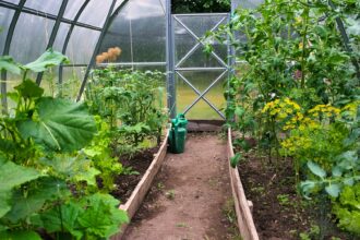 a garden with a lot of plants growing inside of it