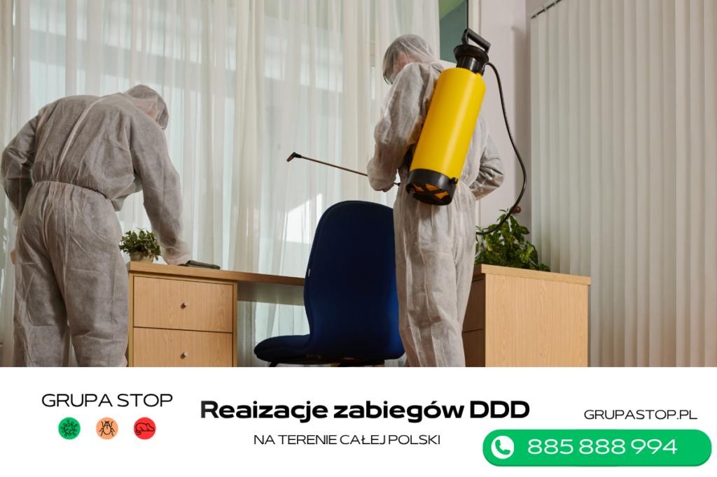 zwalczanie insektów, gryzoni Grupa Stop