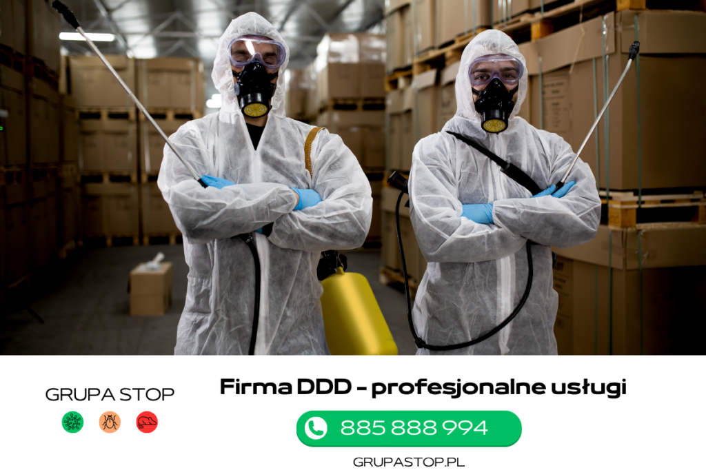 firma Grupa Stop DDD